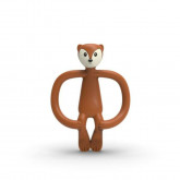 Rágózoo - Rágókoma