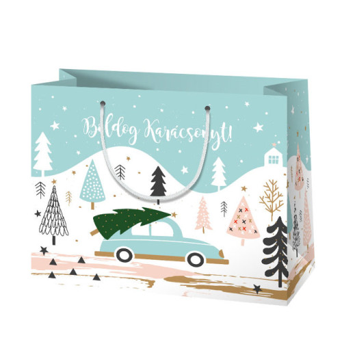 Ajándéktáska - Karácsonyi 23x18x10 cm