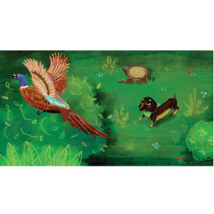 Diafilm - Borsi az erdőben