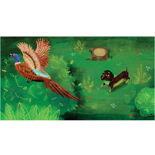 Diafilm - Borsi az erdőben