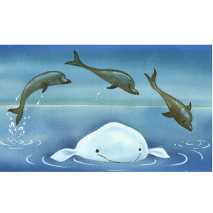 Diafilm - Jegesvízi Bálna Bálint