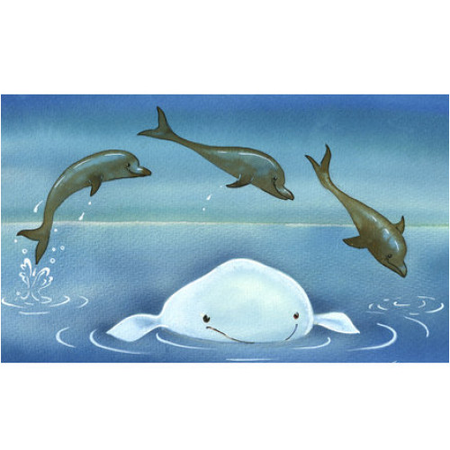 Diafilm - Jegesvízi Bálna Bálint