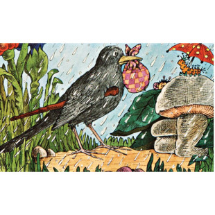 Diafilm A nagyravágyó feketerigó