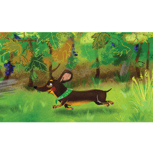 Diafilm Borsi szüretel