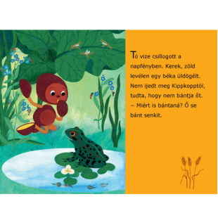 Diafilm Kippkopp a fűben