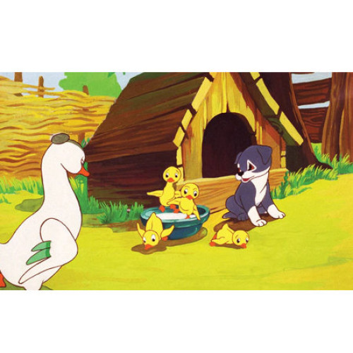 Diafilm Kutyakötelesség