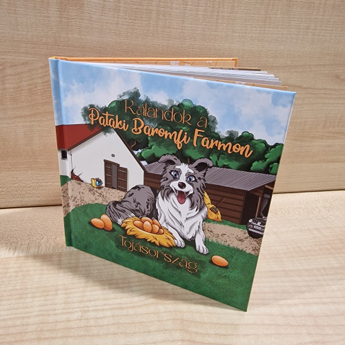 Kalandok a Pataki Baromfi Farmon - Tojásország