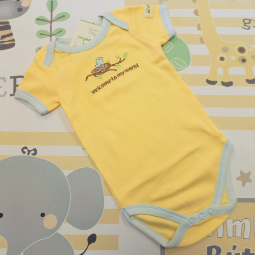 Bio body - Madárfészek