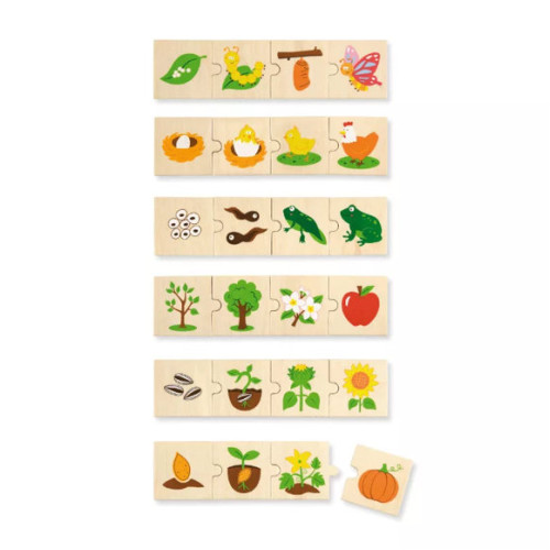 Fa puzzle - Fejlődés