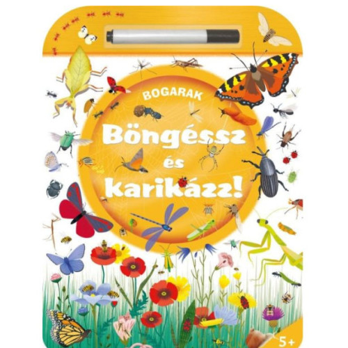 Böngéssz és karikázz - Bogarak