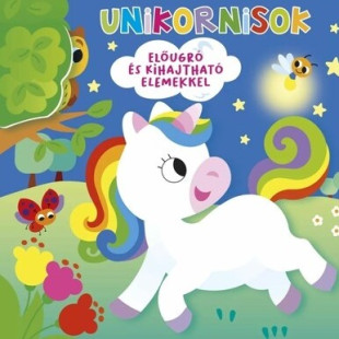 Könyv Ki bújt el? - Unikornisok