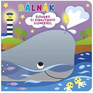 Könyv Ki bújt el? - Bálnák