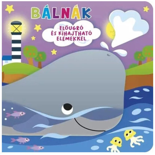 Könyv Ki bújt el? - Bálnák