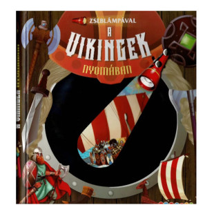 Könyv Zseblámpával a vikingek nyomában