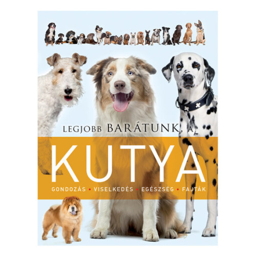 Legjobb barátunk, a kutya