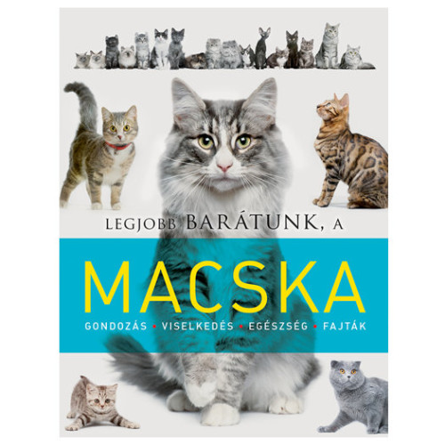 Legjobb barátunk, a macska