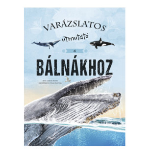Varázslatos útmutató a bálnákhoz