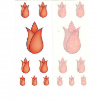 Ovisjel - tulipánvirág