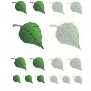 Ovisjel - falevél i.