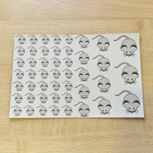 Ovisjel matrica - Egér