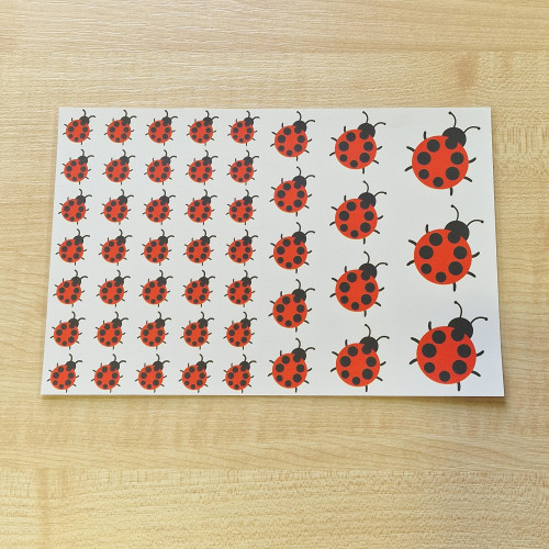 Ovisjel matrica - Katica