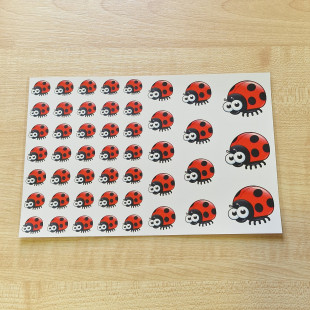 Ovisjel matrica - Katicabogár