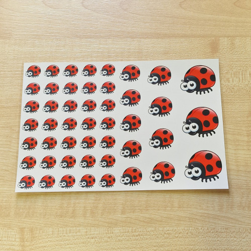 Ovisjel matrica - Katicabogár