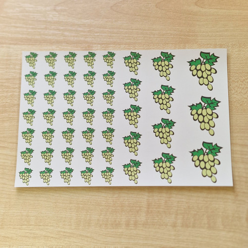 Ovisjel vasalható - Szőlő