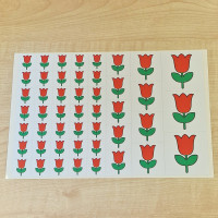Ovisjel matrica - Tulipán