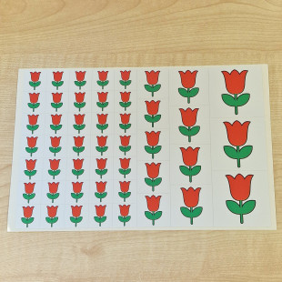 Ovisjel vasalható - Tulipán