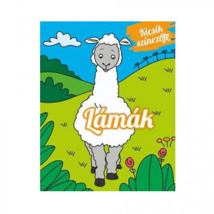 Könyv Kicsik színezője - Lámák