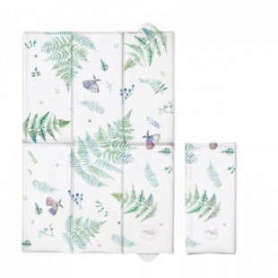 Pelenkázólap utazó - páfrány