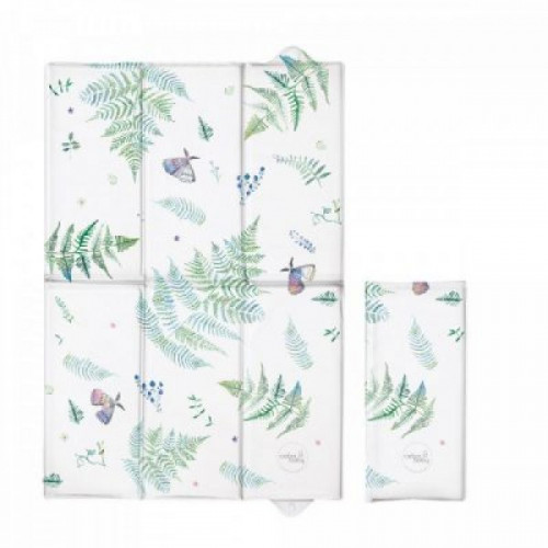 Pelenkázólap utazó - páfrány