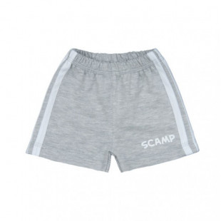 Scamp short szürke-fehér